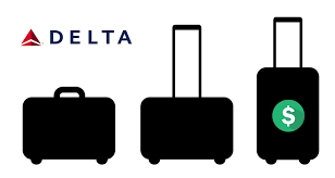 delta air lines bage fees and policy