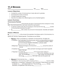 We found some images about section 11 4 meiosis worksheet answers 11 4 Workbook Meiosis