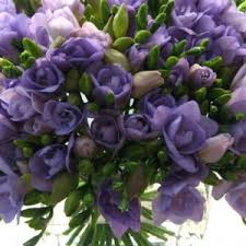 We did not find results for: Flowers In Season February Bridalguide