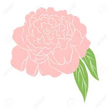 We did not find results for: Vector Simple Pink Peony Flower Colored Sketch Of Flower Hand Drawn Outline Illustration Of Flowering Peony Graphic Vector Peony Isolated On White Backdrop Peony Hand Drawn Flat Floral Illustration Royalty Free Cliparts