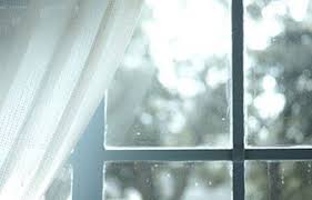 From fort collins gutter cleaning to full roof replacement in fort collins, co, get your free comprehensive estimate today. Window And Door Supplier Fort Collins Co Builder S Supply