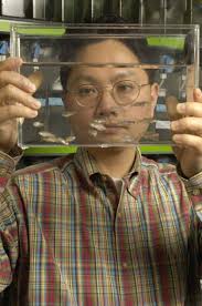 New Insights into Protective Mechanisms for Major Forms of Hearing Loss