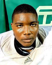 Meet the 2021 MLive Metro Detroit Football Dream Team for offense