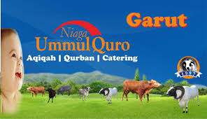 Share this page with friends to help more people learn about it. Aqiqah Ummul Quro Garut Home Facebook