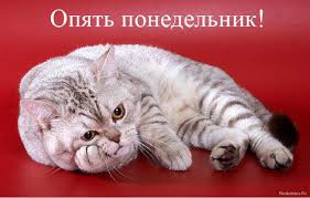 images?q=tbn:ANd9GcR69EtNzXwitBTPz-HgMA-aDDcVPmQOmARO1aHcsbrjmrkPfqqf