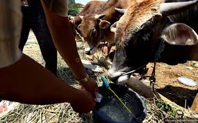 Surat permohonan hewan qurban 2019. Jelang Idul Adha Estimasi Pemotongan Hewan Kurban Capai 1 3 Juta Ekor Okezone Economy