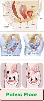Newly Expanded Program At Rush Offers Relief From Pelvic Floor Problems Pelvic Floor Health And Beauty Tips Natural Health Tips