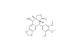Image result for Podophyllotoxin