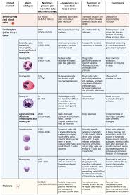 Your browser does not support the audio element. Erythrocytes Anatomy And Physiology Ii