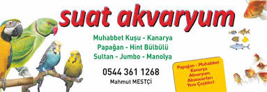 Suat Akvaryum