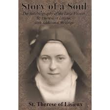 The Warning: Testimonies And Prophecies Of The Illumination Of Conscience :  Buy Online at Best Price in KSA