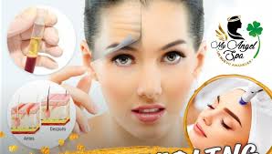 Sylvia Meneses Echeverría