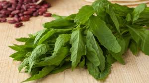 #plantasaromaticas considera tener una de estas plantas para decorar la cocina. Plantas Aromaticas De La Cocina Mexicana