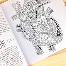Download Show Me Your Guts Adult Coloring Book Homespun Modern Handmade