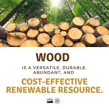 Apply for a firewood permit. Caribou Targhee National Forest To Start Selling Firewood Permits Monday Community Idahostatejournal Com