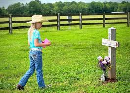 A Father–Daughter Miracle At The Opry — Rory Feek Broke Down Mid ...