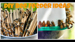 Diy bee feeder bees will be attracted to your yard if there are flowers with nectar in your garden. 2 Simple Diy Bee Feeders How To Feed Starving Honey Bees Bee Frenzy Youtube