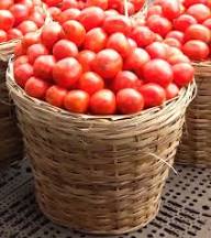 Tomatoes ( Basket, broken ones underneath)