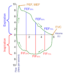 spirometry wikipedia