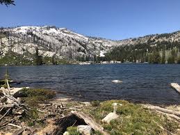 #fishes of the okanagan lake: Twin Lakes Via Granite Mountain Trail 165 Idaho Alltrails