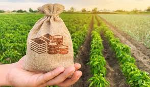How to Double Farmers' Income? Part I