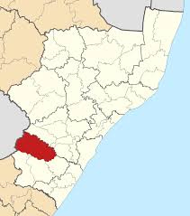 After a bruising battle, the anc veteran is chosen to succeed jacob zuma to lead the party. Dr Nkosazana Dlamini Zuma Wikipedia