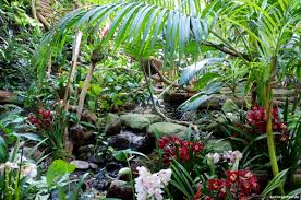 Orchideenpflege Richtig Gemacht Tipps Vom Profi Der Biosphare Potsdam