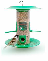 If you feed birds in the winter look for something else. Bird Feeder Window Bird Feeder Bird Feeder Green Buy Online In United Arab Emirates At Desertcart Ae Productid 157650257