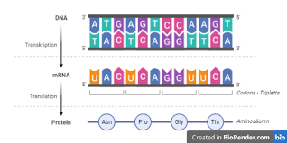 Mrna vaccines are a new type of vaccine to protect against infectious diseases. Sich Zu Tode Furchten Der Mrna Impfstoff Und Seine Gegner Gehirn Ki Scilogs Wissenschaftsblogs