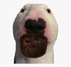 Nose Snout Bulldog Walter Dog Hd Png Download Kindpng