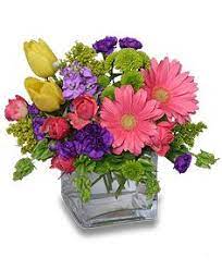 We did not find results for: Westbury Florist Westbury Ny Flower Shop Flowers By Carole