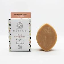 Categorie Gamme De Shampoing Solide Certifiee Bio Belice En 2020 Shampoing Cheveux Secs Shampoing Solide Cheveux Secs