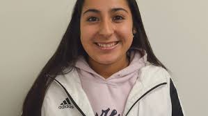 Catch 22 Fennville: Vote for the top athlete from 2001-22