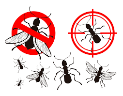 We understand the threat of termites, bed bugs, fungus, carpenter ants, carpenter bees and more in the roanoke area. Pest Control Roanoke Va Pest Control Roaches Pest Control Best Pest Control