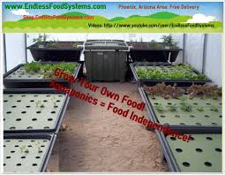 128 Sq Ft Of Grow Space Aquaponics System In Phoenix Az This System Is In A Greenhouse Here In The Arizona Dese Aquaponics Aquaponics Kit Aquaponics System