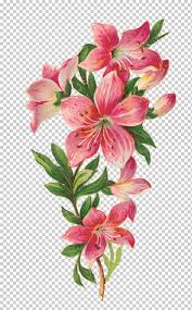 Dibujo de flores, flores, pintura de acuarela, arreglos florales, floribunda png. Flor Lirio De Pascua Dibujo Decoupage Bosquejo Flor Pintura De Acuarela Arreglos Florales Tallo De La Planta Png Klipartz