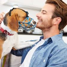 PETCUTE Bozal de Canasta para Perros con Correas Ajustables, de Plástico  con Tiras Reflectantes, Evita Morder, Masticar y Ladrar para Perros  Medianos y Pequeños : Amazon.es: Productos para mascotas