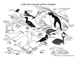 New Zealand Animals Coloring Page Animal Coloring Pages Coloring Pages Tree Coloring Page