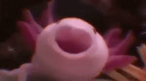 Maybe you would like to learn more about one of these? Axolotl Peach On Planet Minecraft