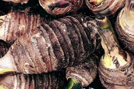 Colocasia esculenta is a tropical plant grown primarily for its edible corms, a root vegetable most commonly known as taro (/ˈtɑːroʊ, ˈtæroʊ/), kalo, dasheen or godere. What Is Taro Root How To Cook Taro Root Asweatlife