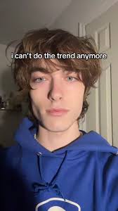 Cat Picture Trends: Captivating Moments with Cats