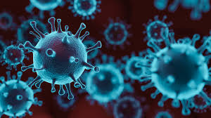 United kingdom coronavirus update with statistics and graphs: Early Details Emerge About The New U K Coronavirus Variant Science News For Students
