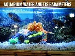 Aquarium Water Parameters Saltwater Fish Tanks Aquarium Aquarium Fish