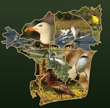 Imagini pentru cele mai frumoase delte din lume