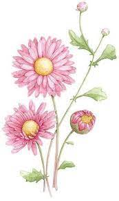 Aster September Aster Flower Tattoos Birth Flower Tattoos Birth Month Flowers