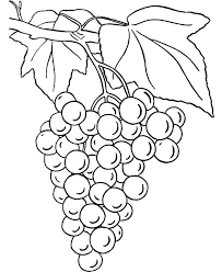 25 lovely grapes coloring pages for your little ones. Grapes Coloring Pages To Print