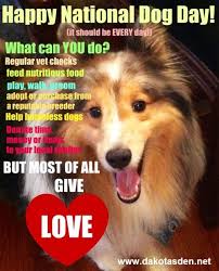 By suman varandani @suman09 06/20/21 at 7:20 am. 35 Latest National Dog Day Wish Pictures