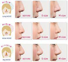 It is also the principal organ in the olfactory system. Want A More Defined Nose Try Hana Putti Bibico Wonect Life