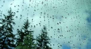 Menos de 200 milímetros anuales indican una escasa lluvia, entre 200 y 500 milímetros anuales indican que ha llovido en sólo un poco, entre 500 y 1000 milímetros. Iluminan Viviendas Con Agua De Lluvia Iluminet Revista De Iluminacion