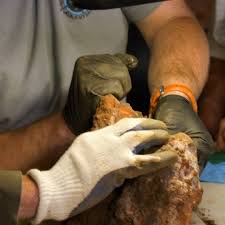 They found $10,000 worth of pure gold